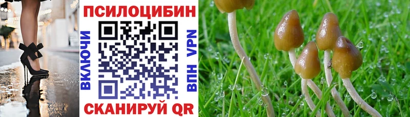 Купить закладки  Аткарск  Галлюциногенные грибы Magic Shrooms 